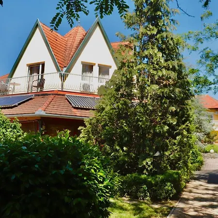 Wagner Panzio Черсегтомай