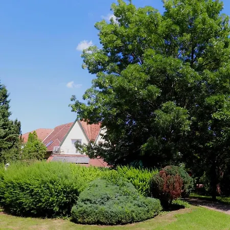 Wagner Panzio Гостевой дом