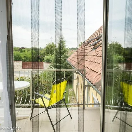 Wagner Panzio 3* Черсегтомай