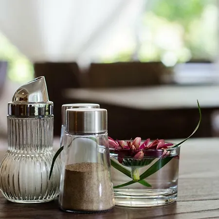 Wagner Panzio Гостевой дом