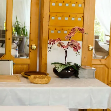 Guest house Wagner Panzio