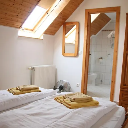 Гостевой дом Wagner Panzio