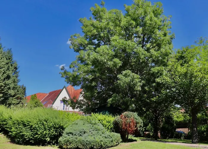 בית הארחה Wagner Panzio