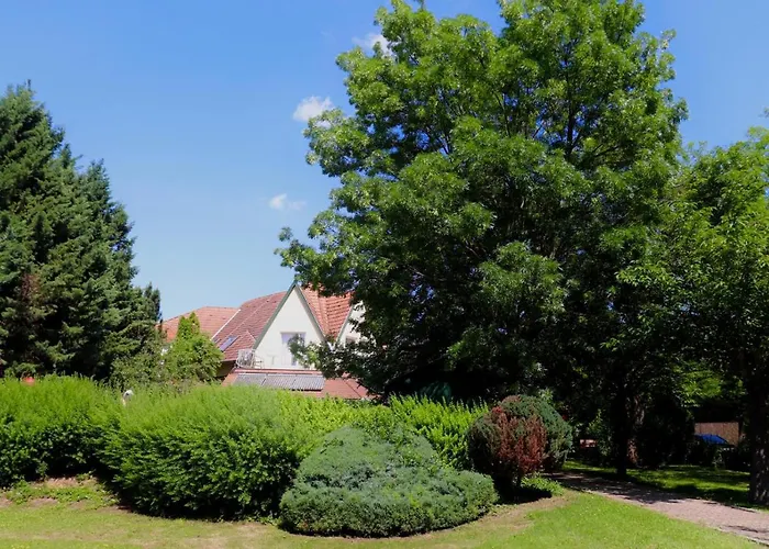 Wagner Panzio Penzion