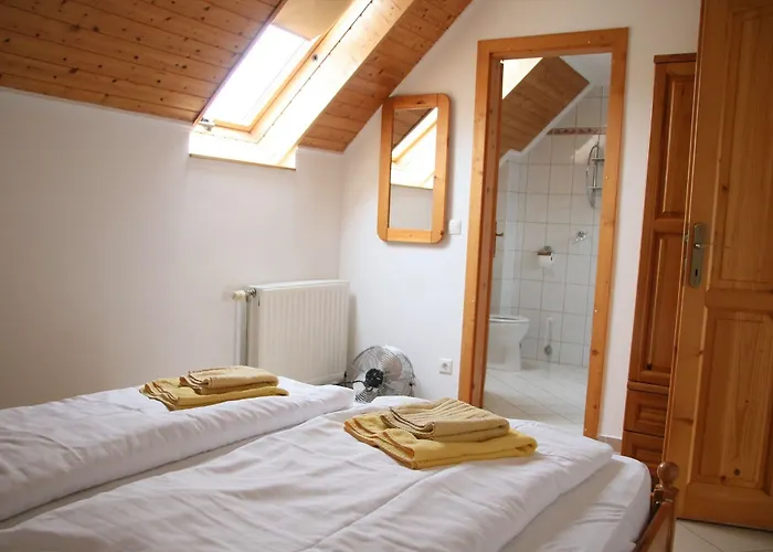 Wagner Panzio Гостевой дом 3*