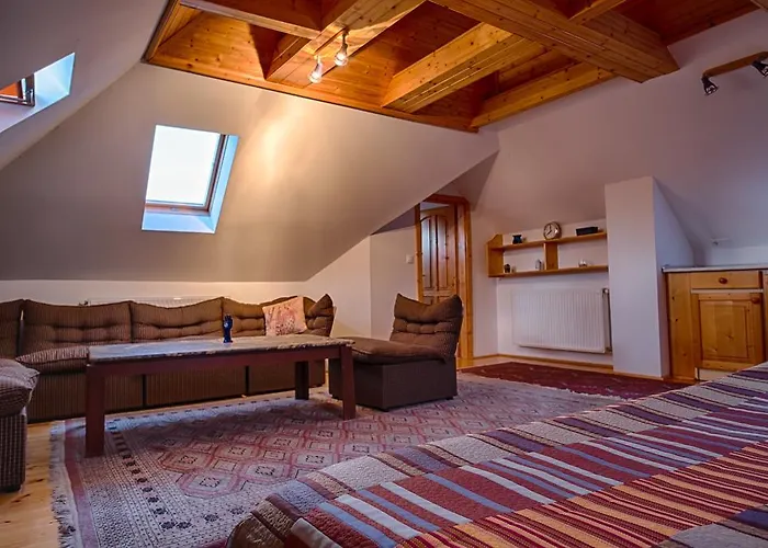 בית הארחה Wagner Panzio