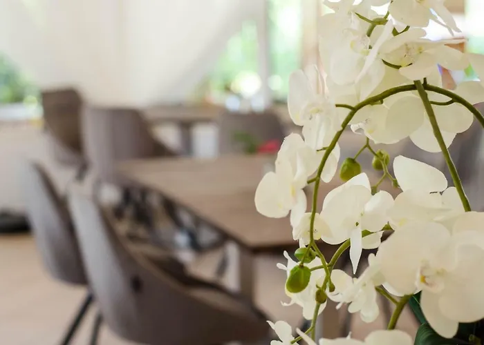 בית הארחה Wagner Panzio 3*