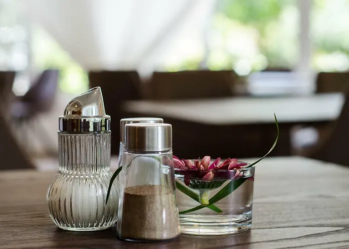 Wagner Panzio Penzion