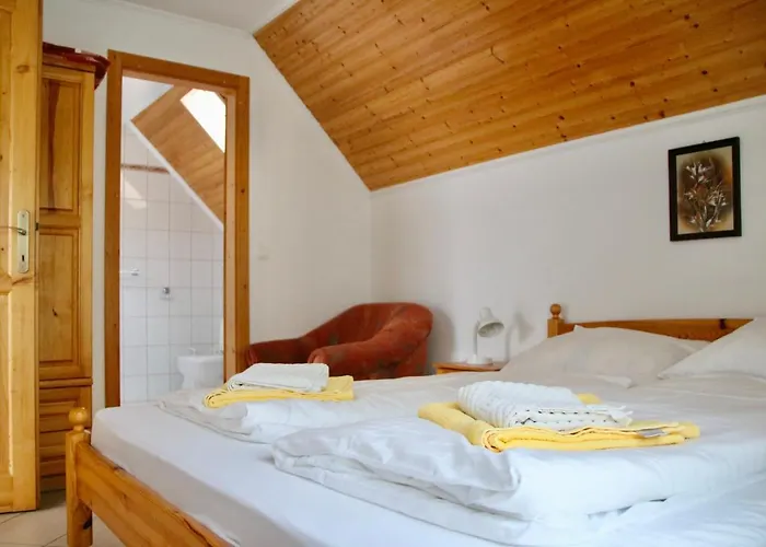 Wagner Panzio בית הארחה צ'רסגטומאי